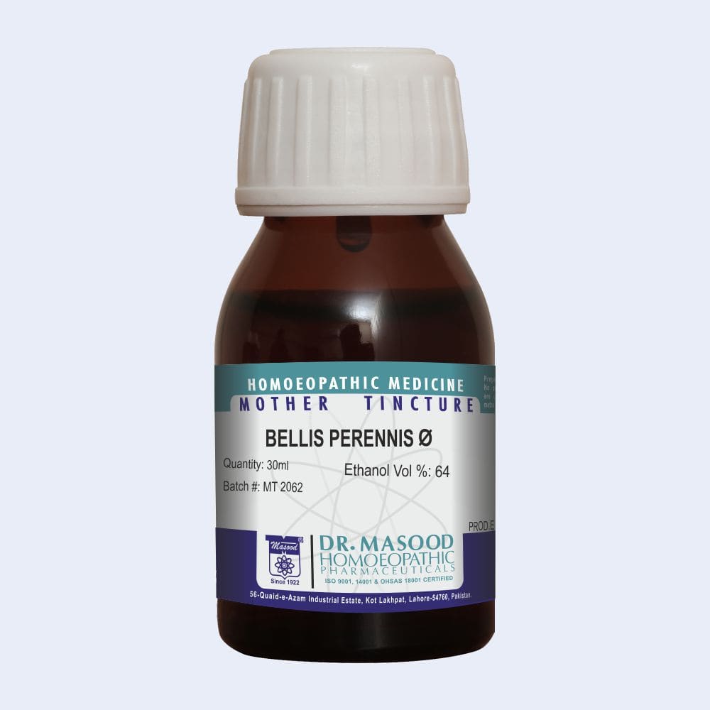 Bellis Perennis Q