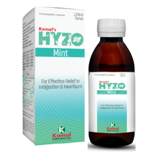 Haizo Mint Syrup (120ml)