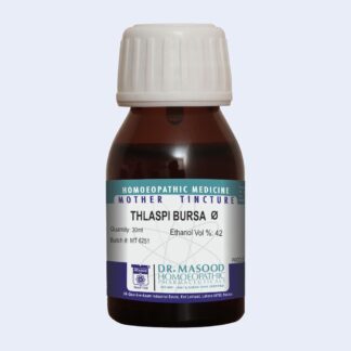 Thlaspi bursa pastoris Q